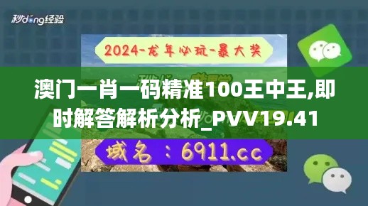 澳门一肖一码精准100王中王,即时解答解析分析_PVV19.41