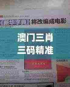 澳门三肖三码精准100%新华字典333期,探讨解答解释落实_ENS5.44