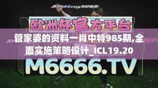 管家婆的资料一肖中特985期,全面实施策略设计_ICL19.20