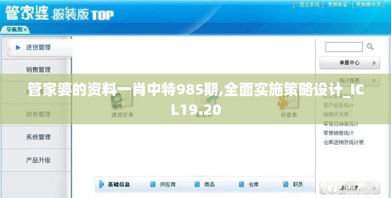管家婆的资料一肖中特985期,全面实施策略设计_ICL19.20