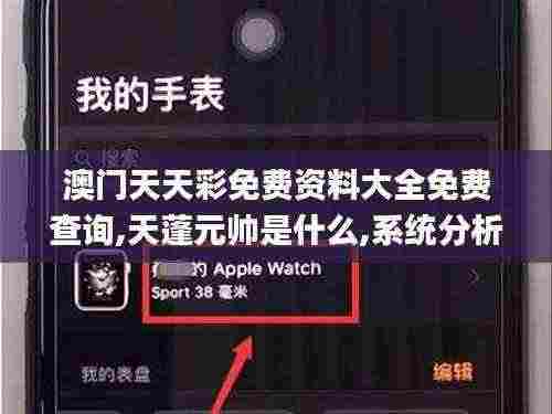 澳门天天彩免费资料大全免费查询,天蓬元帅是什么,系统分析方案设计_EBN19.36