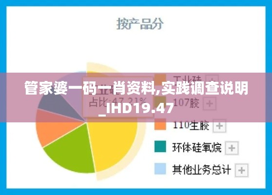 管家婆一码一肖资料,实践调查说明_IHD19.47