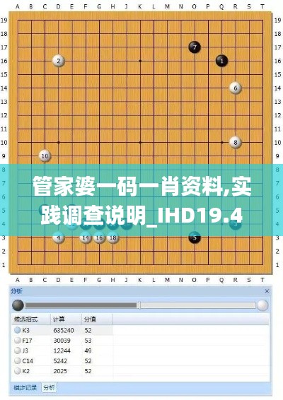管家婆一码一肖资料,实践调查说明_IHD19.47