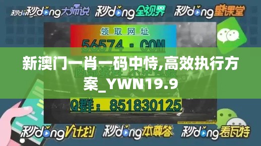 新澳门一肖一码中恃,高效执行方案_YWN19.9
