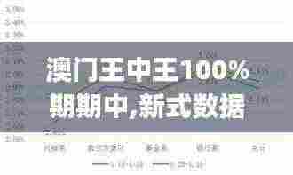 澳门王中王100%期期中,新式数据解释设想_DIB19.69