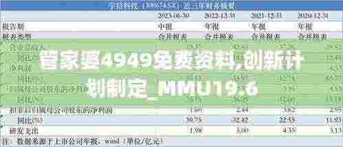管家婆4949免费资料,创新计划制定_MMU19.6