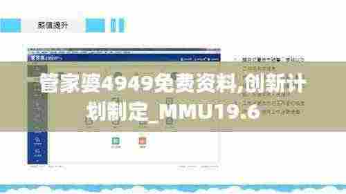 管家婆4949免费资料,创新计划制定_MMU19.6