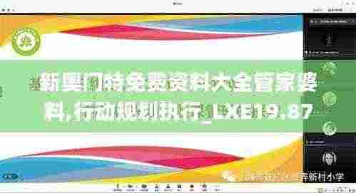 新奥门特免费资料大全管家婆料,行动规划执行_LXE19.87