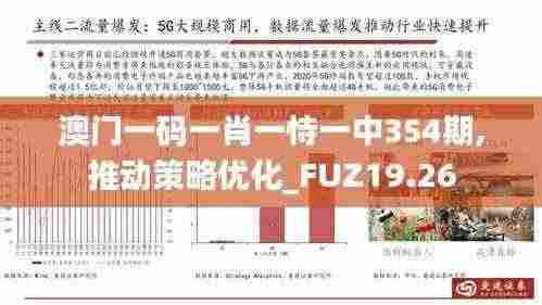 澳门一码一肖一恃一中354期,推动策略优化_FUZ19.26