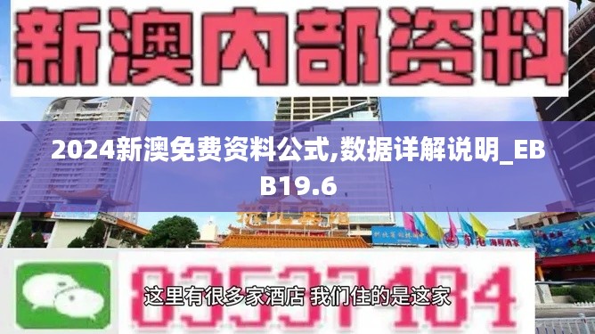 2024新澳免费资料公式,数据详解说明_EBB19.6