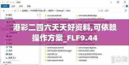 港彩二四六天天好资料,可依赖操作方案_FLF9.44