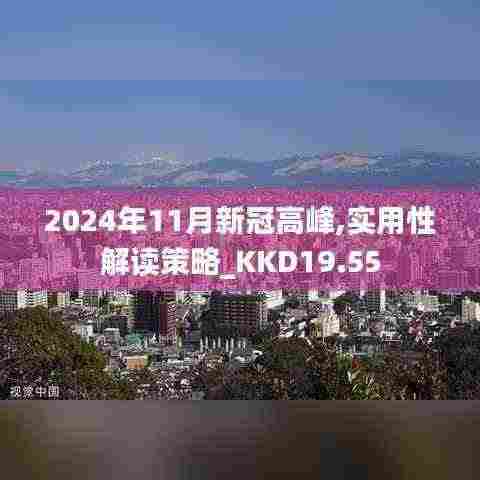 2024年11月新冠高峰,实用性解读策略_KKD19.55