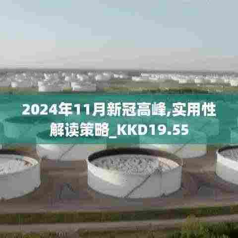 2024年11月新冠高峰,实用性解读策略_KKD19.55