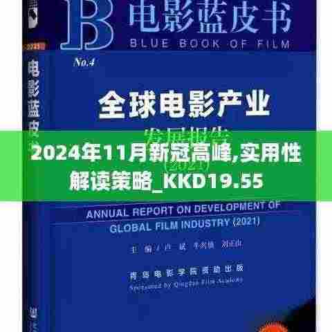 2024年11月新冠高峰,实用性解读策略_KKD19.55