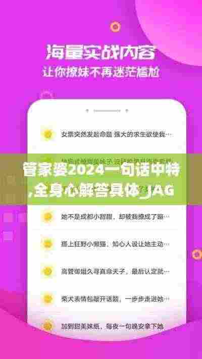 管家婆2024一句话中特,全身心解答具体_JAG19.4