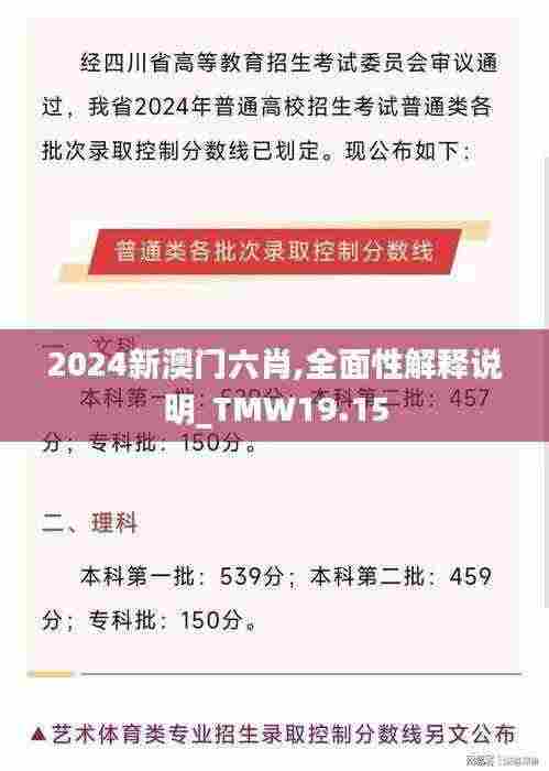 2024新澳门六肖,全面性解释说明_TMW19.15