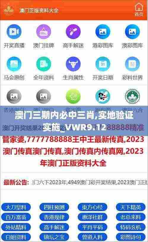澳门三期内必中三肖,实地验证实施_VWR9.12