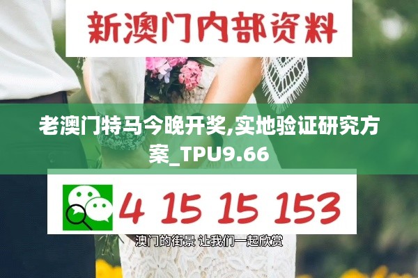 老澳门特马今晚开奖,实地验证研究方案_TPU9.66