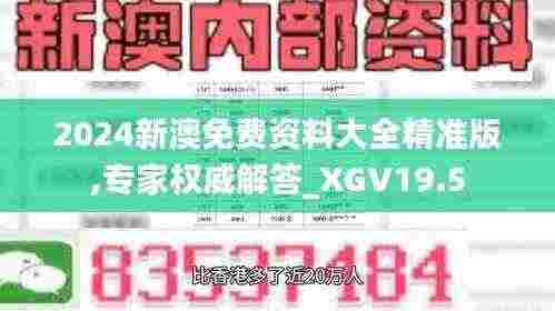 2024新澳免费资料大全精准版,专家权威解答_XGV19.5