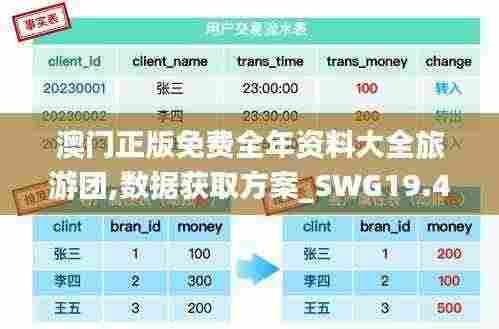 澳门正版免费全年资料大全旅游团,数据获取方案_SWG19.47