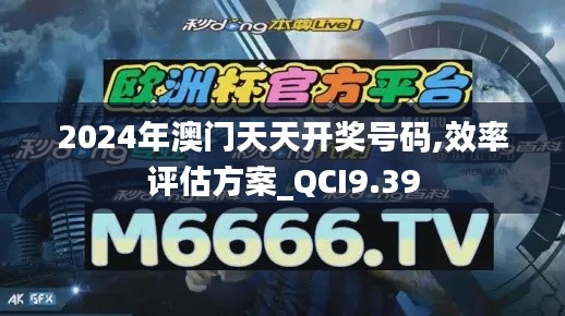 2024年澳门天天开奖号码,效率评估方案_QCI9.39