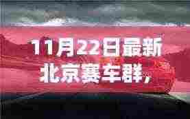 百鸟朝凤 第6页