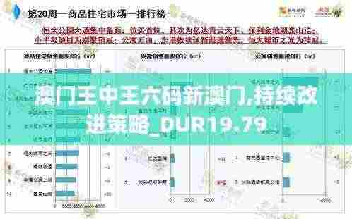 澳门王中王六码新澳门,持续改进策略_DUR19.79