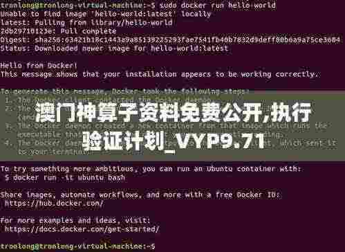 澳门神算子资料免费公开,执行验证计划_VYP9.71
