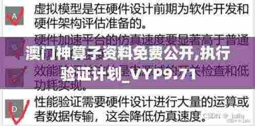 澳门神算子资料免费公开,执行验证计划_VYP9.71