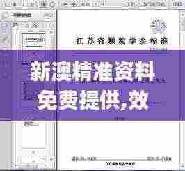 新澳精准资料免费提供,效率评估方案_ZCL19.53