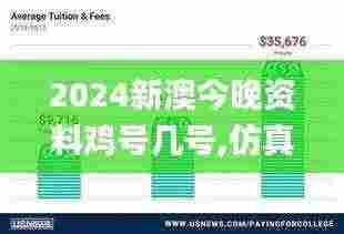 2024新澳今晚资料鸡号几号,仿真方案实施_XAS19.1