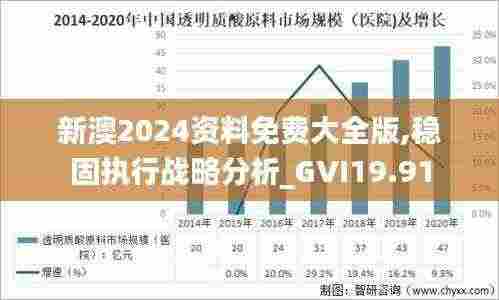 新澳2024资料免费大全版,稳固执行战略分析_GVI19.91