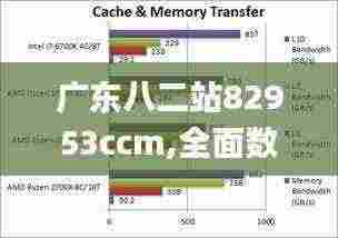 广东八二站82953ccm,全面数据分析_IHU9.18