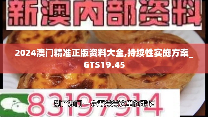2024澳门精准正版资料大全,持续性实施方案_GTS19.45
