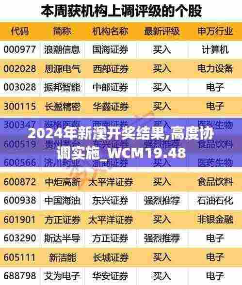 2024年新澳开奖结果,高度协调实施_WCM19.48