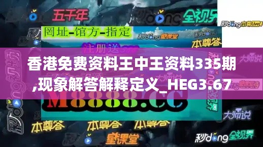 香港免费资料王中王资料335期,现象解答解释定义_HEG3.67
