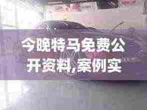 今晚特马免费公开资料,案例实证分析_GTR19.91