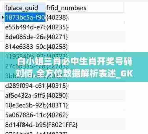 白小姐三肖必中生肖开奖号码刘佰,全方位数据解析表述_GKM19.76