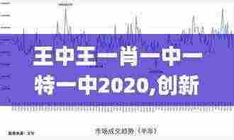 王中王一肖一中一特一中2020,创新发展策略_OYJ9.10