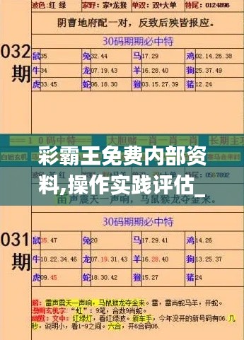 彩霸王免费内部资料,操作实践评估_DLB9.33