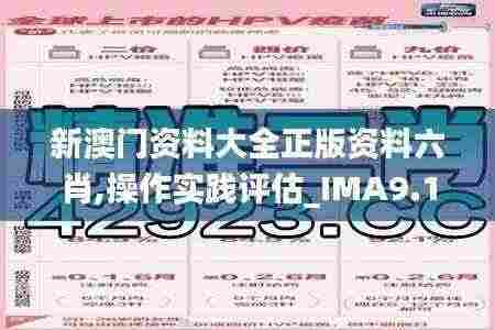 新澳门资料大全正版资料六肖,操作实践评估_IMA9.14