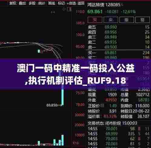 澳门一码中精准一码投入公益,执行机制评估_RUF9.18
