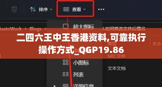 二四六王中王香港资料,可靠执行操作方式_QGP19.86