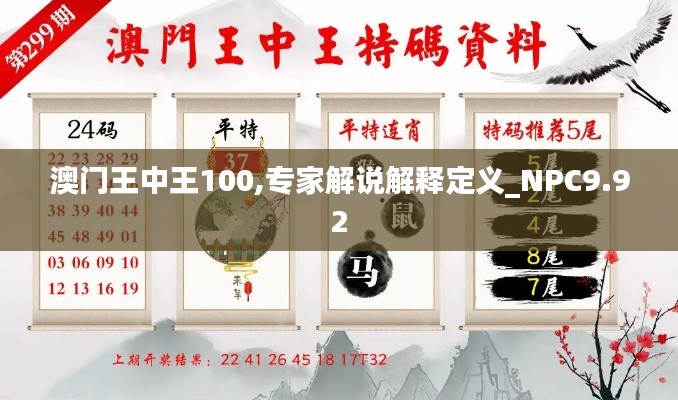 澳门王中王100,专家解说解释定义_NPC9.92