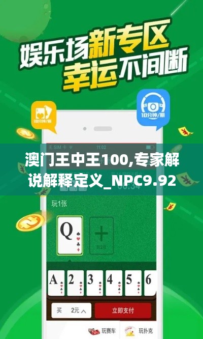 澳门王中王100,专家解说解释定义_NPC9.92