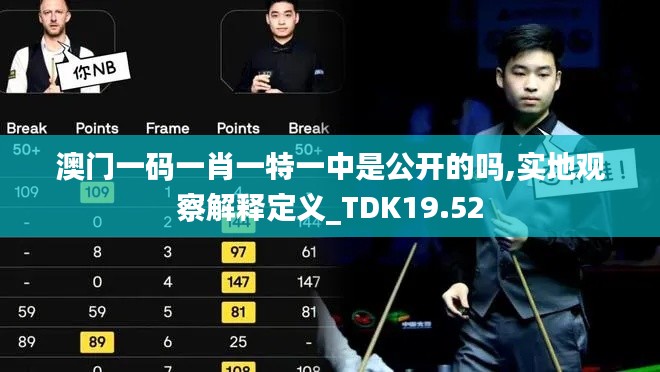 澳门一码一肖一特一中是公开的吗,实地观察解释定义_TDK19.52