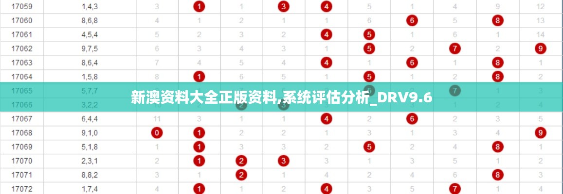 新澳资料大全正版资料,系统评估分析_DRV9.6