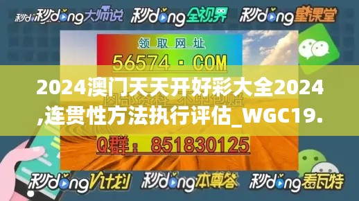 2024澳门天天开好彩大全2024,连贯性方法执行评估_WGC19.12