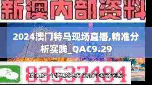2024澳门特马现场直播,精准分析实践_QAC9.29