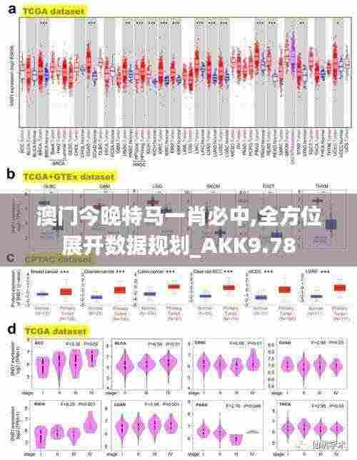 澳门今晚特马一肖必中,全方位展开数据规划_AKK9.78